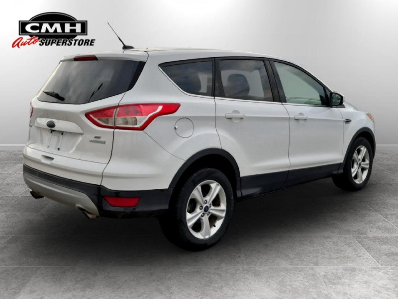 2015 Ford Escape SE Photo
