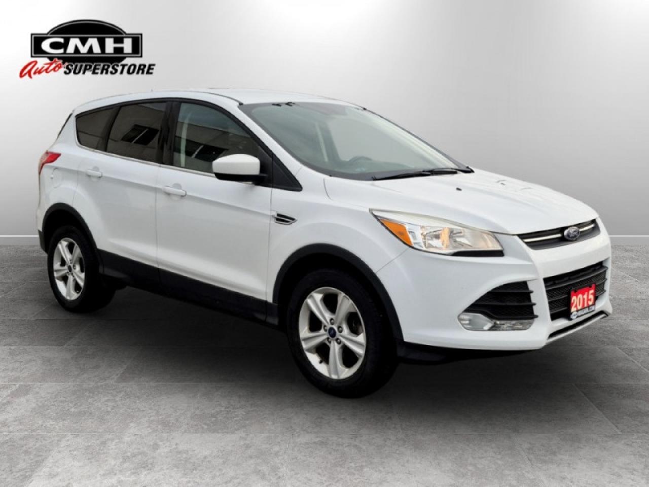 2015 Ford Escape SE Photo
