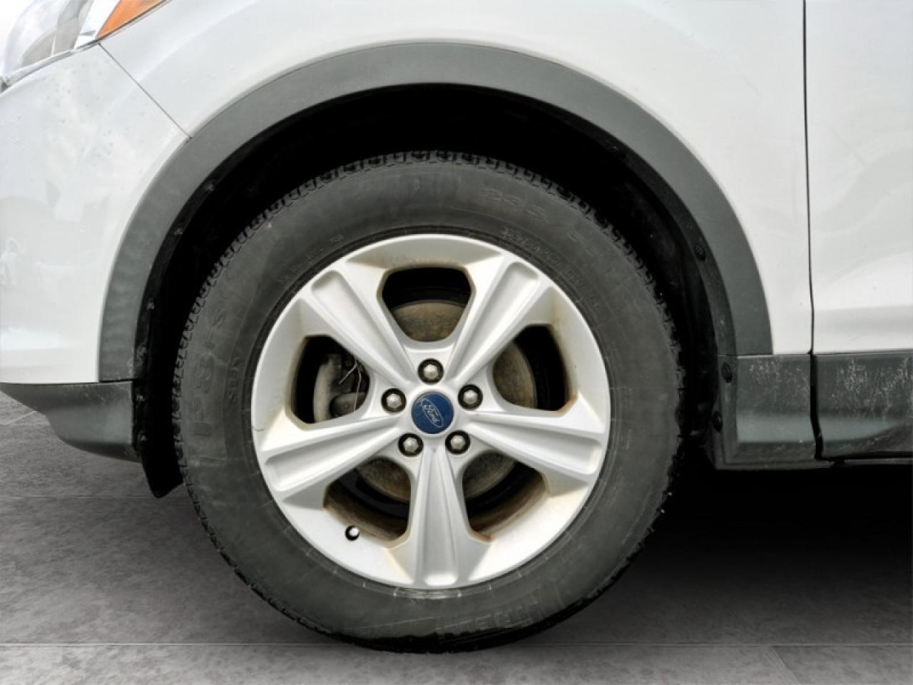 2015 Ford Escape SE Photo