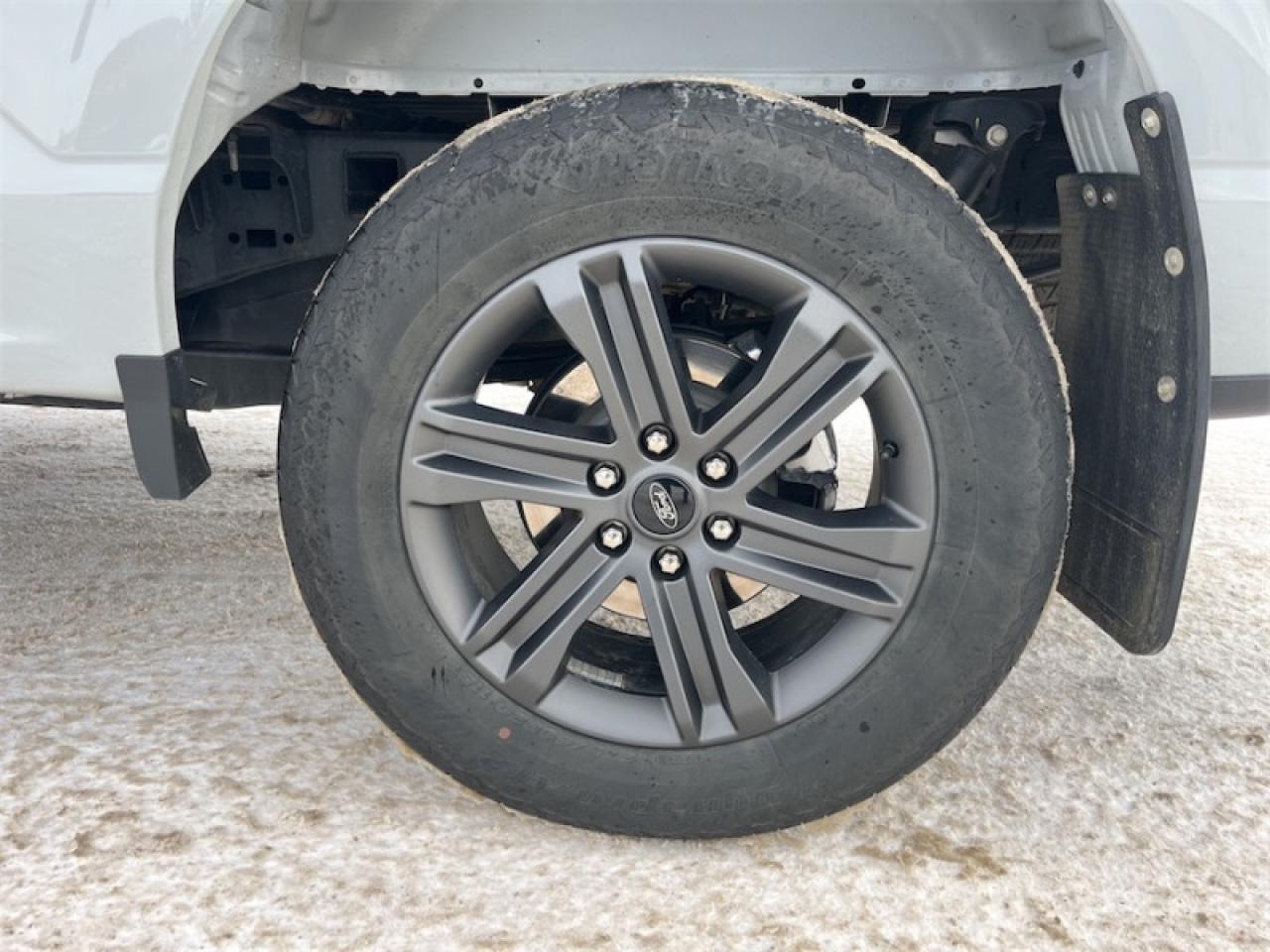 2023 Ford F-150  Photo5