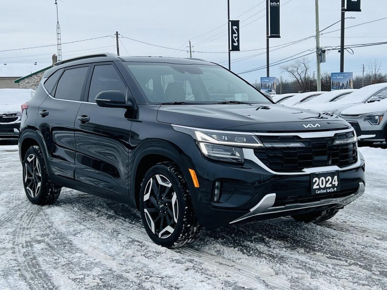 2024 Kia Seltos SX AWD   Leather, Remote Start, Sunroof Photo3