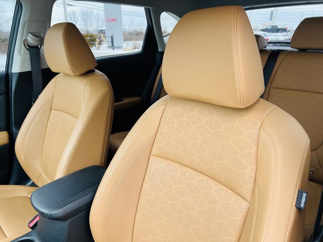 2024 Kia Seltos SX AWD   Leather, Remote Start, Sunroof Photo