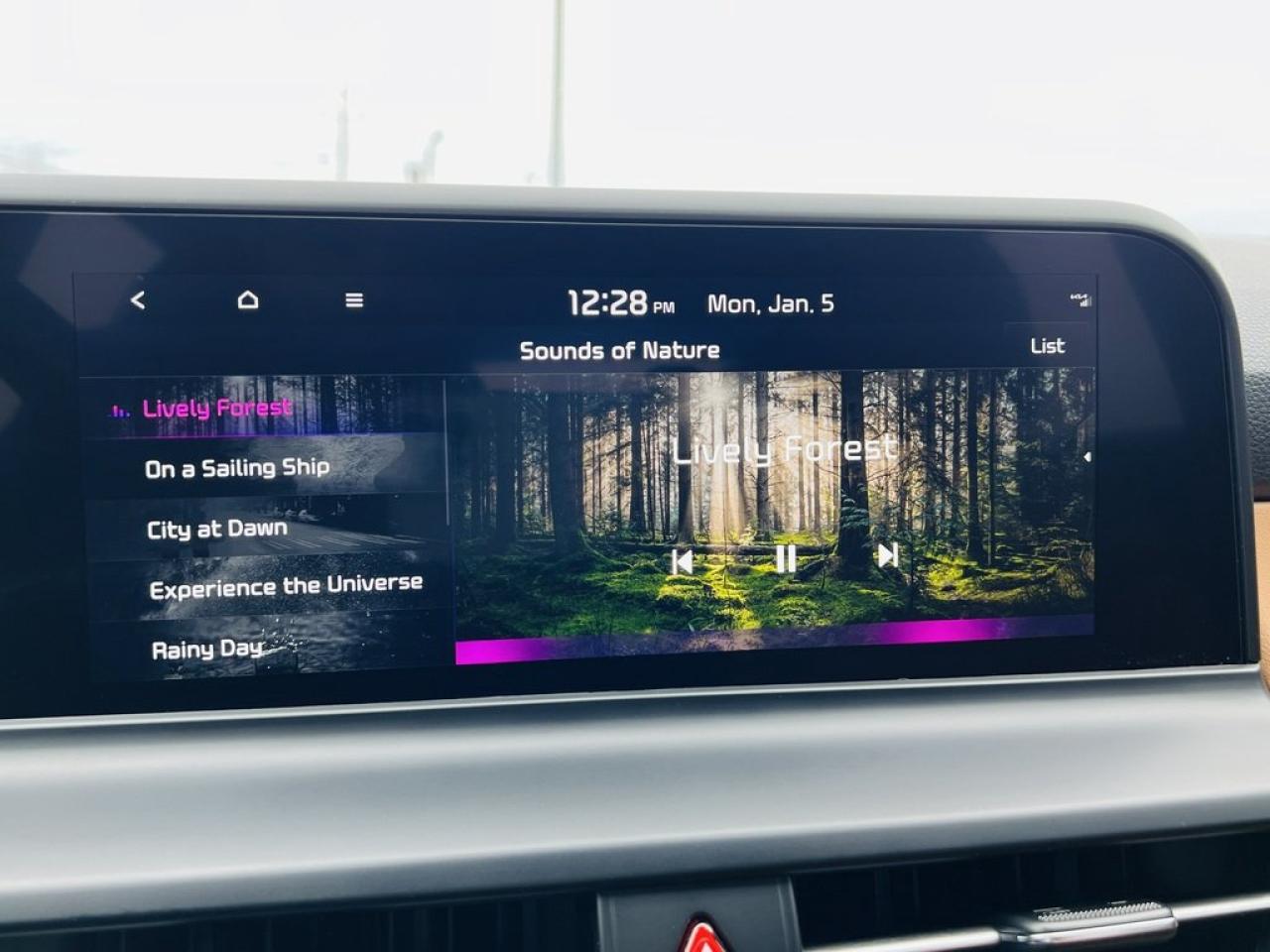 2024 Kia Seltos SX AWD   Leather, Remote Start, Sunroof Photo