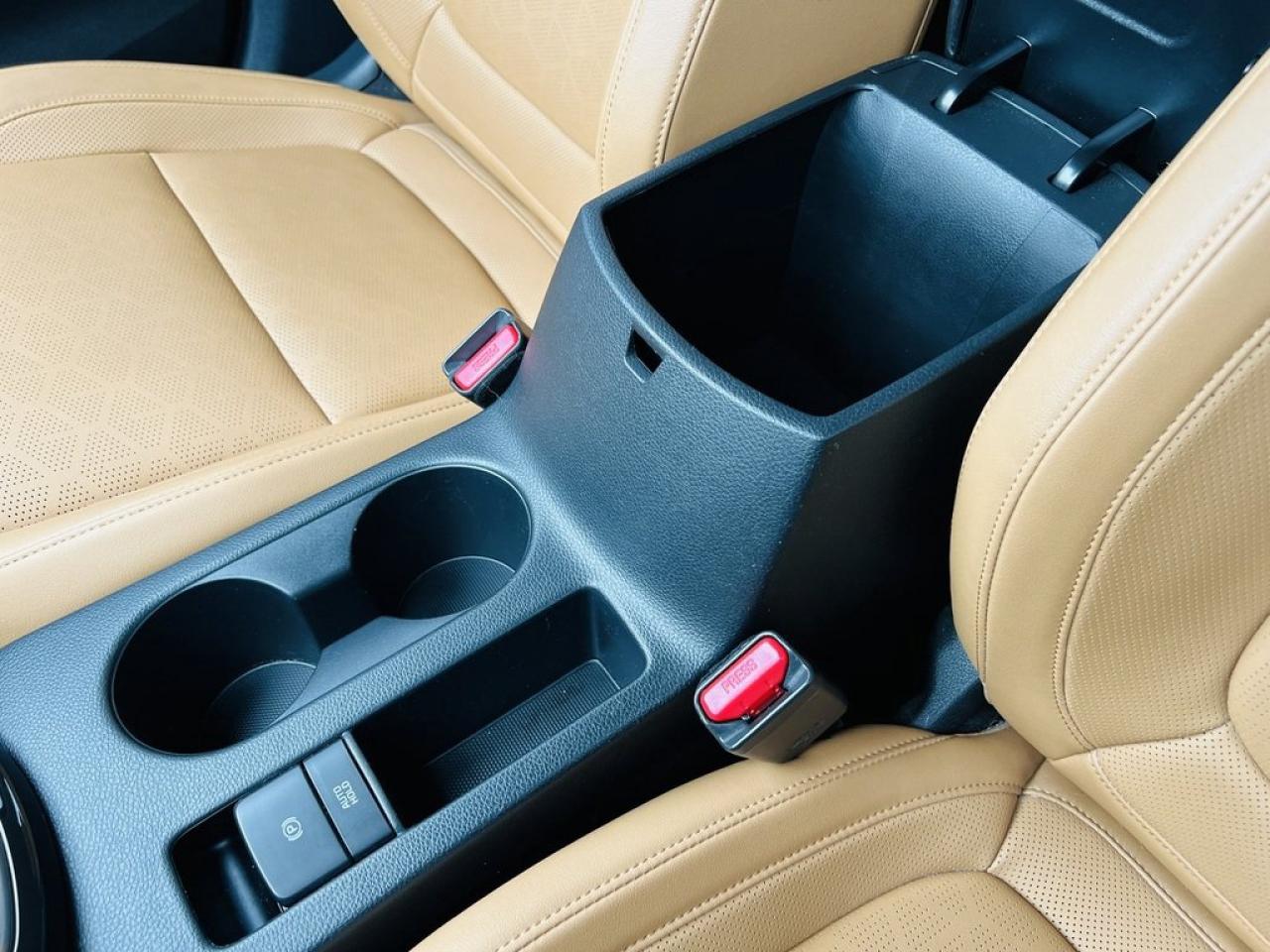 2024 Kia Seltos SX AWD   Leather, Remote Start, Sunroof Photo