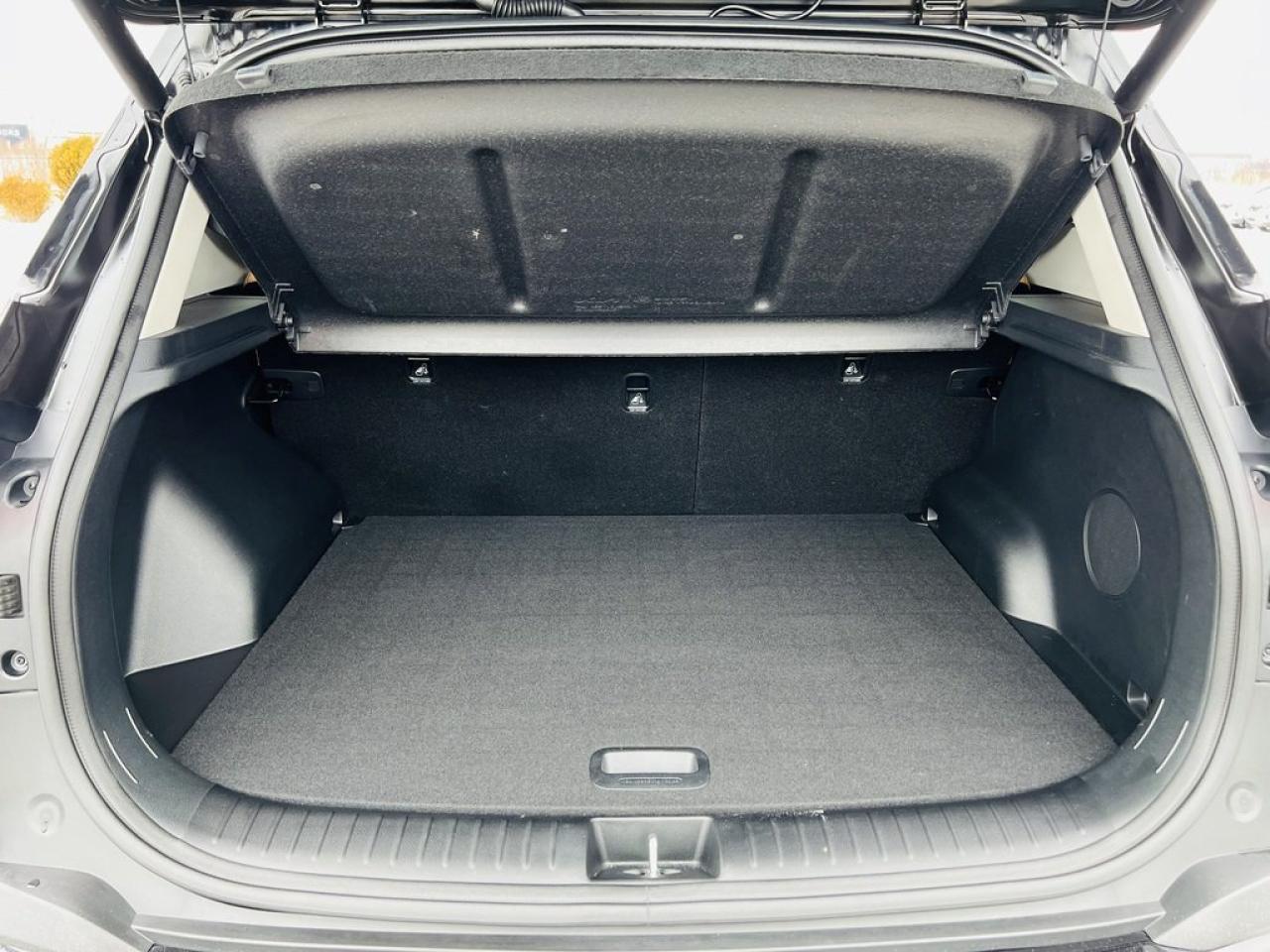 2024 Kia Seltos SX AWD   Leather, Remote Start, Sunroof Photo