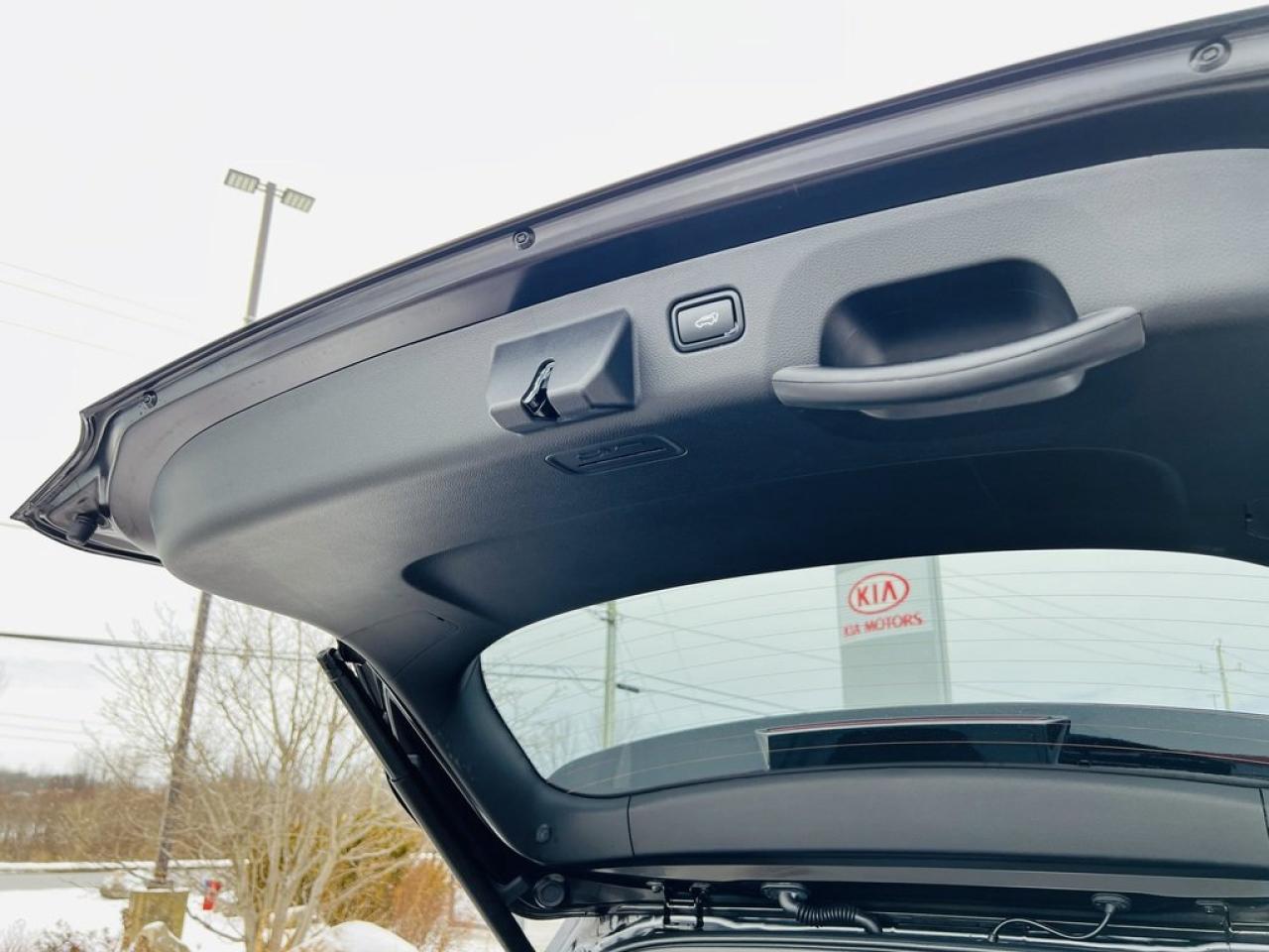 2024 Kia Seltos SX AWD   Leather, Remote Start, Sunroof Photo