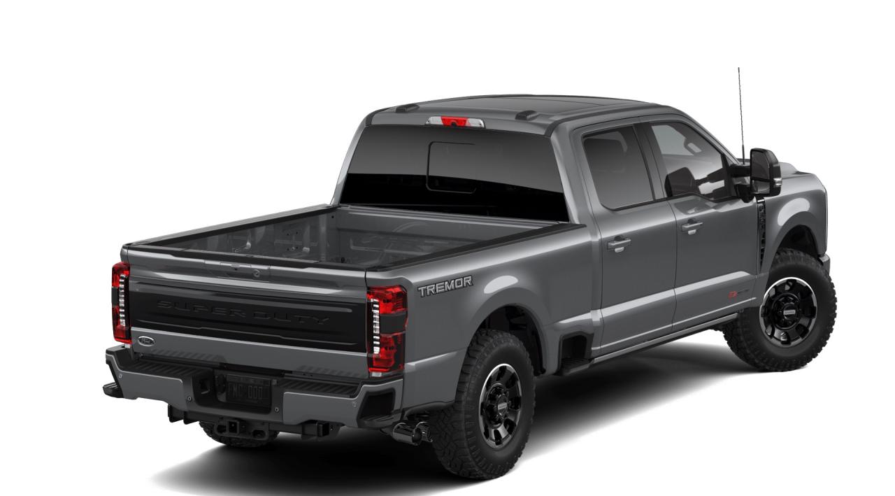 2026 Ford F-350 Super Duty SRW Platinum Photo2
