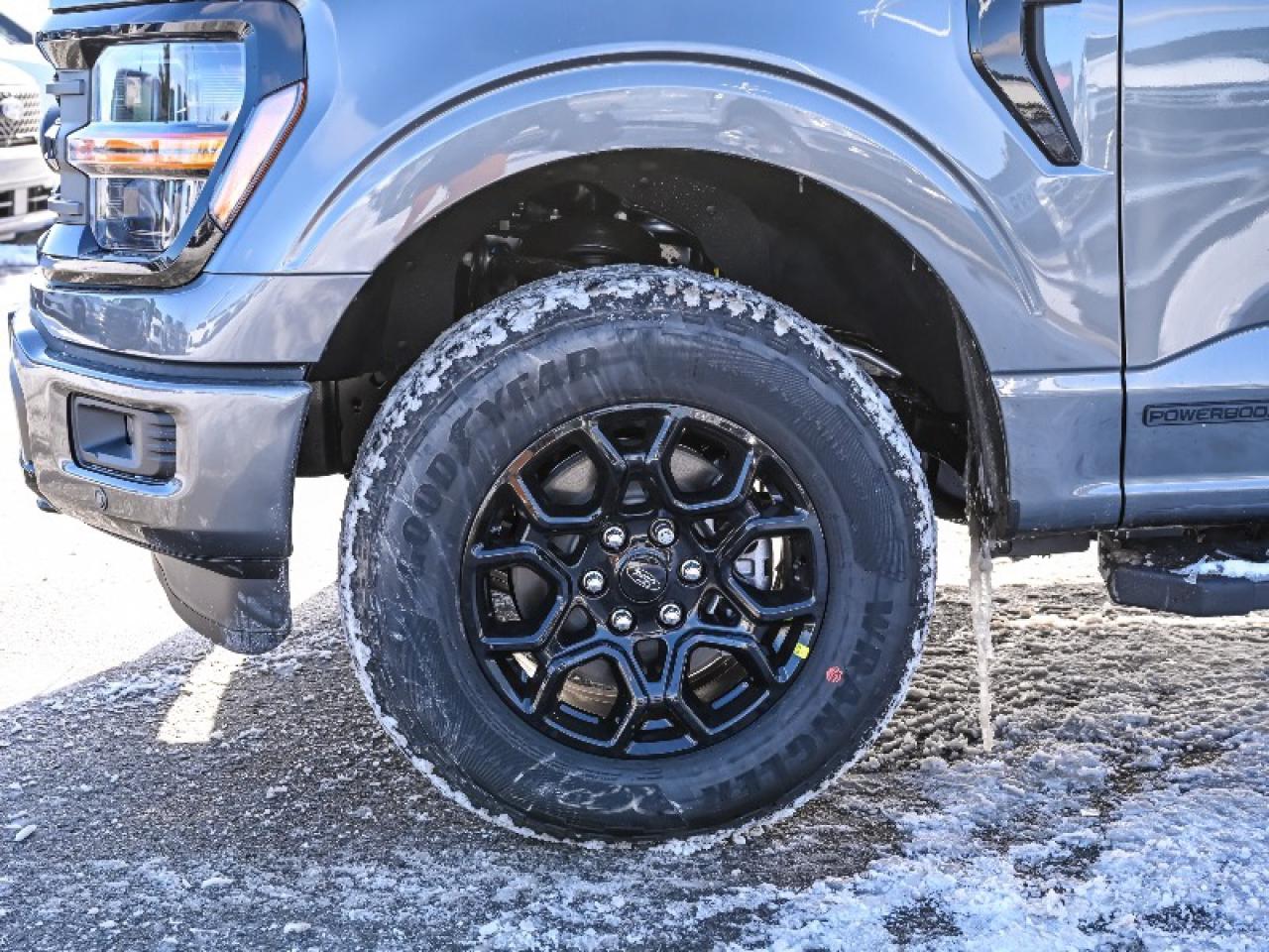 2026 Ford F-150 XLT Photo