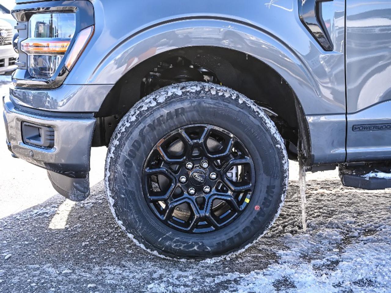 2026 Ford F-150 XLT Photo