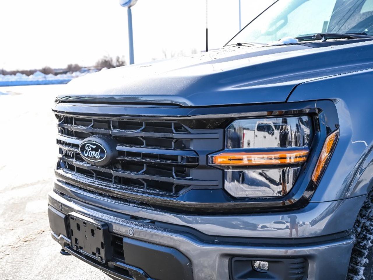 2026 Ford F-150 XLT Photo