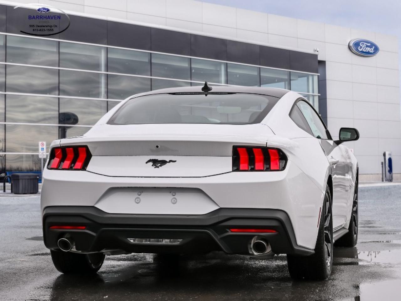 2025 Ford Mustang EcoBoost Photo