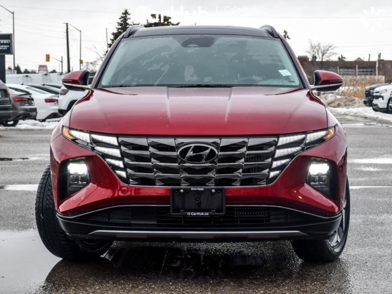 2024 Hyundai Tucson Hybrid Luxury Photo