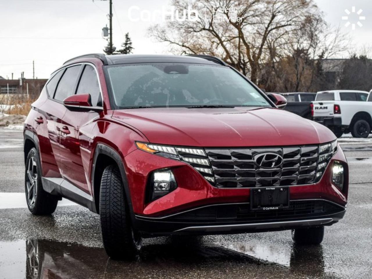 2024 Hyundai Tucson Hybrid Luxury Photo