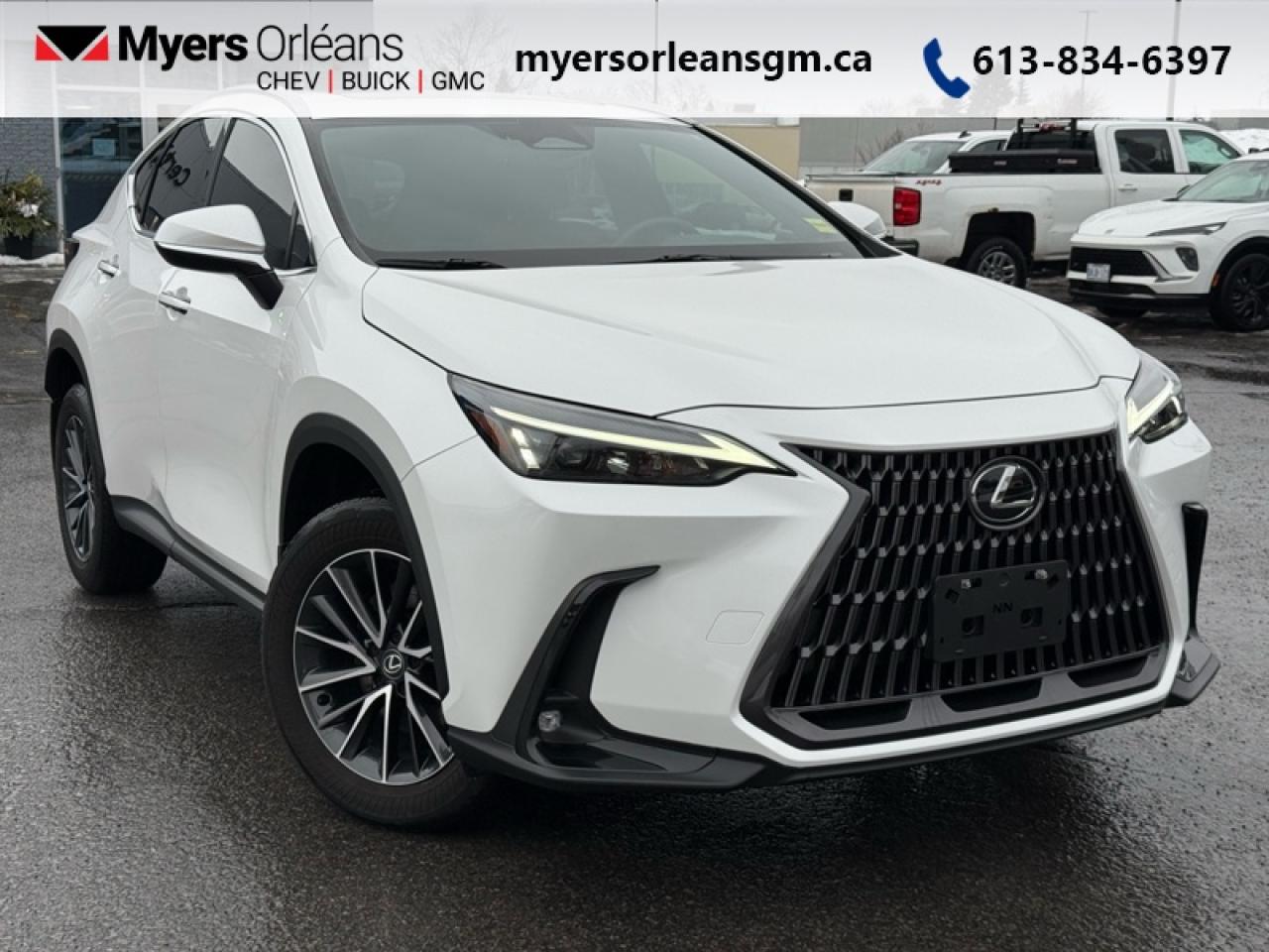 2024 Lexus NX 350 Photo0