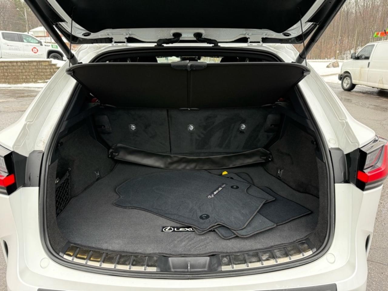 2024 Lexus NX 350 Photo