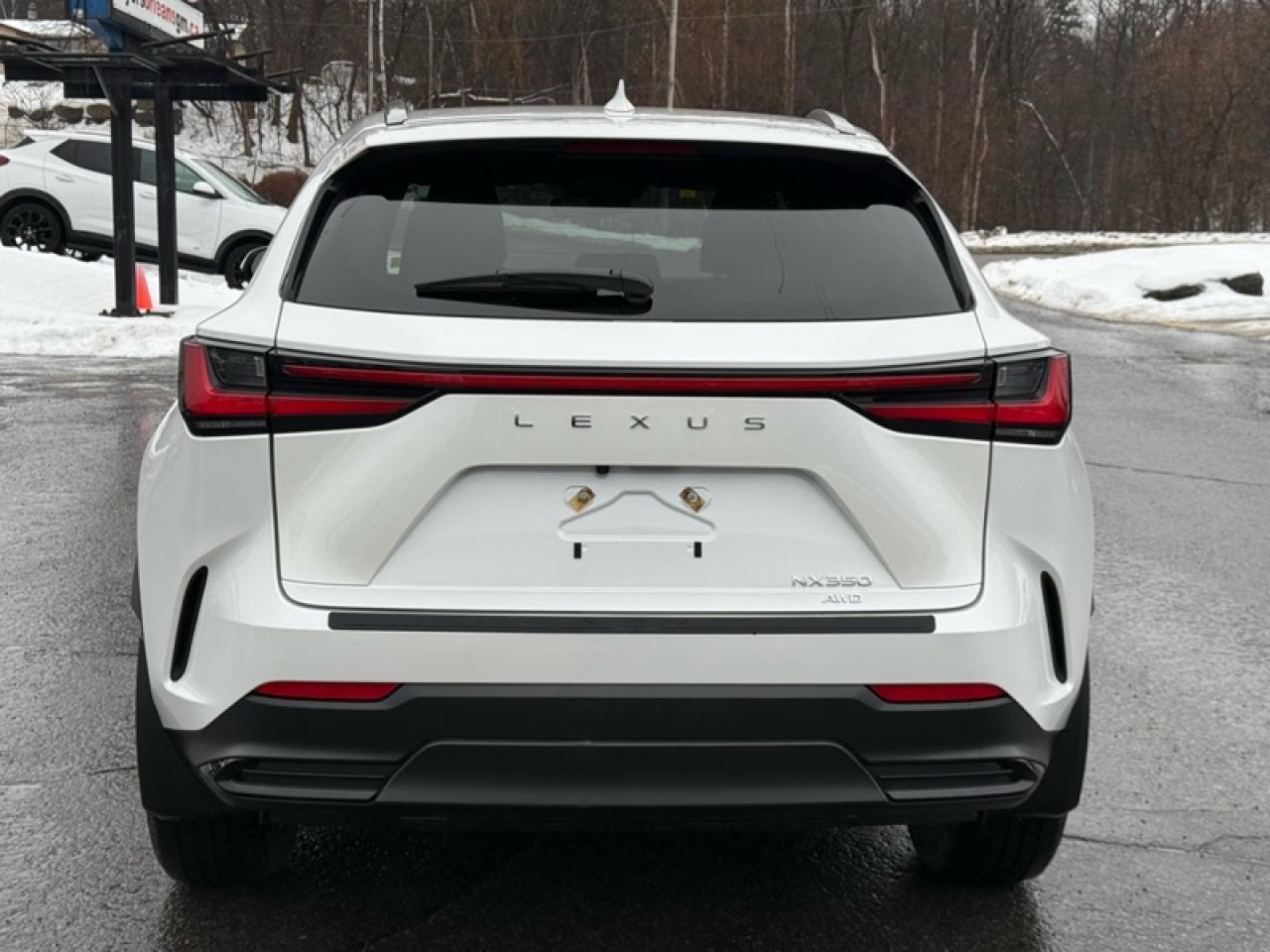 2024 Lexus NX 350 Photo