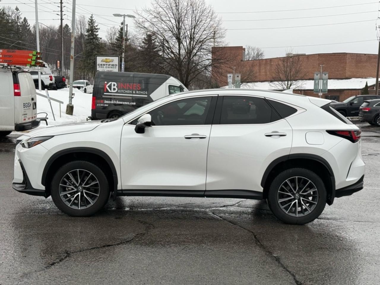 2024 Lexus NX 350 Photo