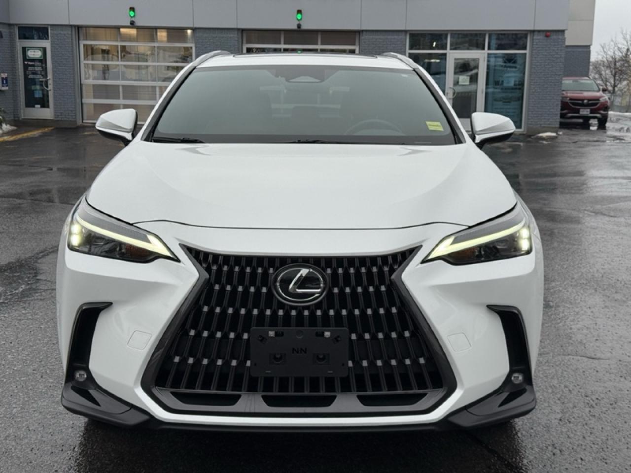 2024 Lexus NX 350 Photo