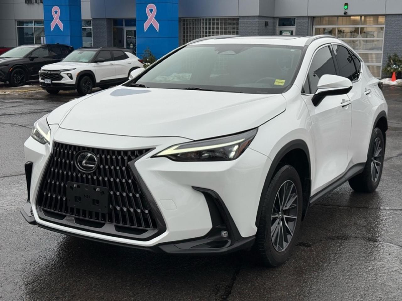 2024 Lexus NX 350 Photo