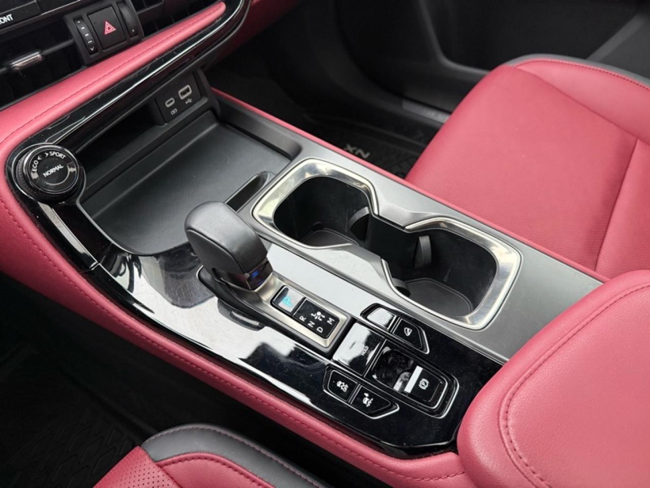 2024 Lexus NX 350 Photo