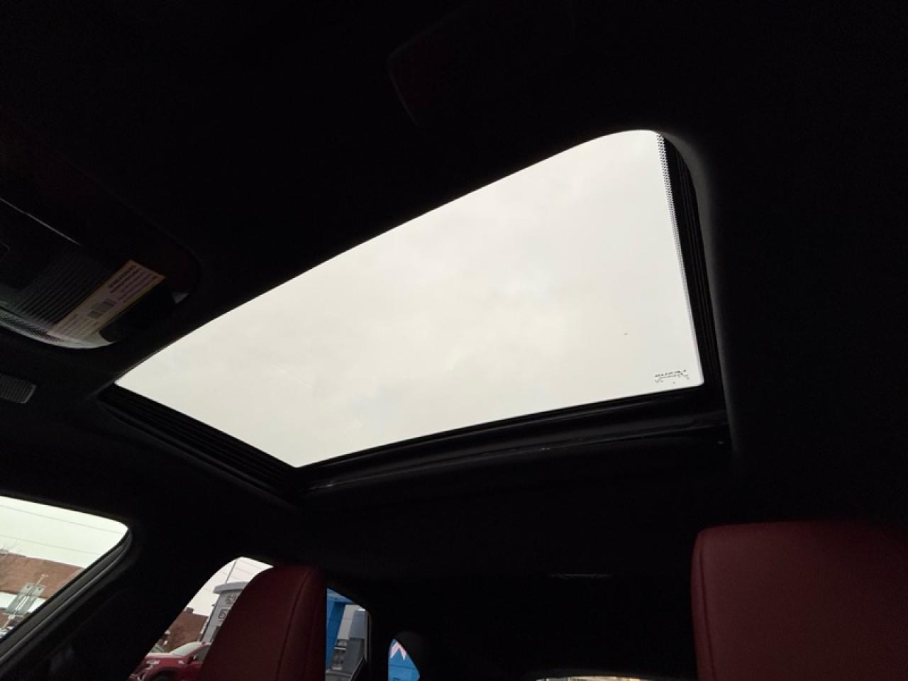 2024 Lexus NX 350 Photo