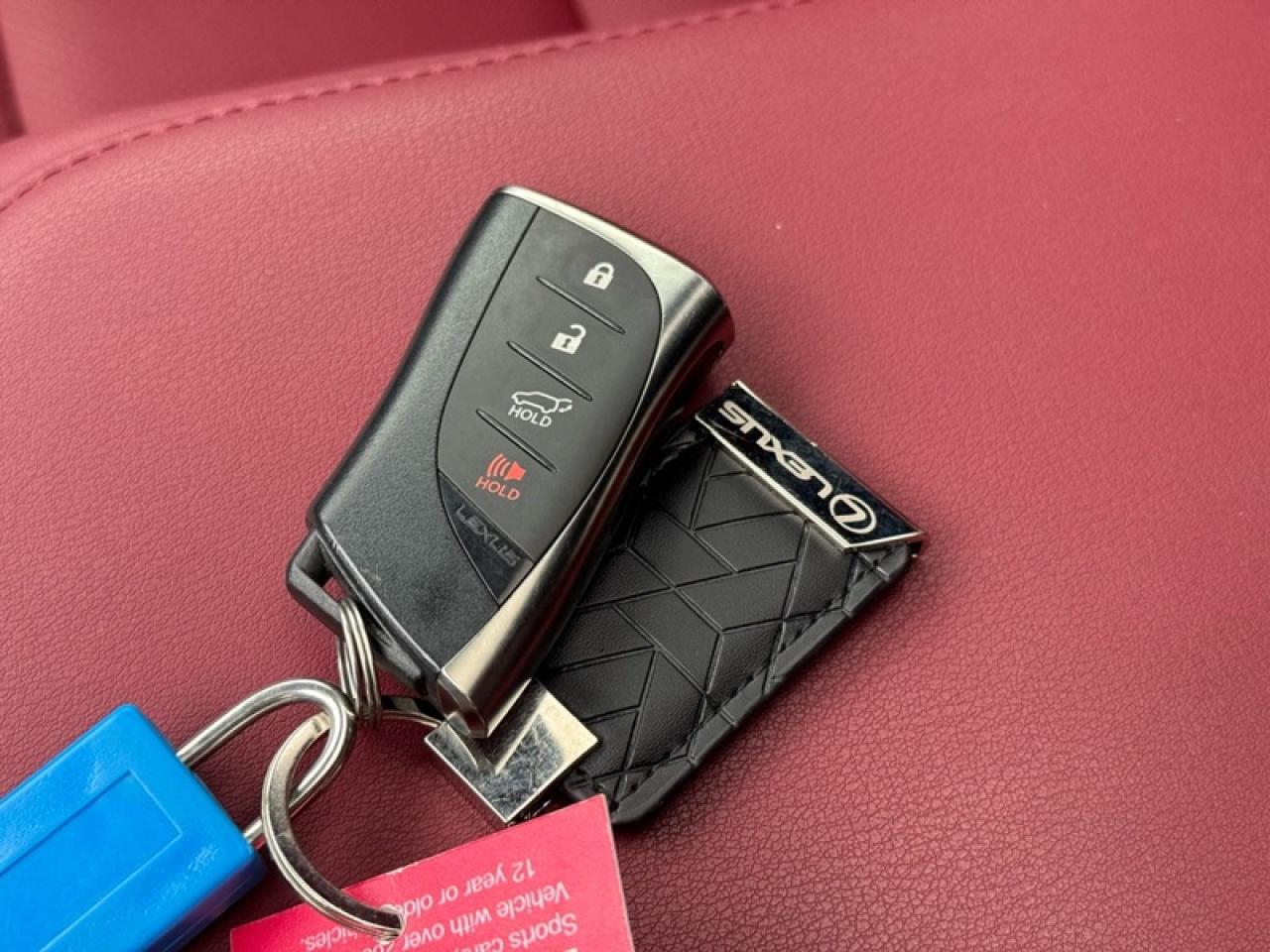 2024 Lexus NX 350 Photo