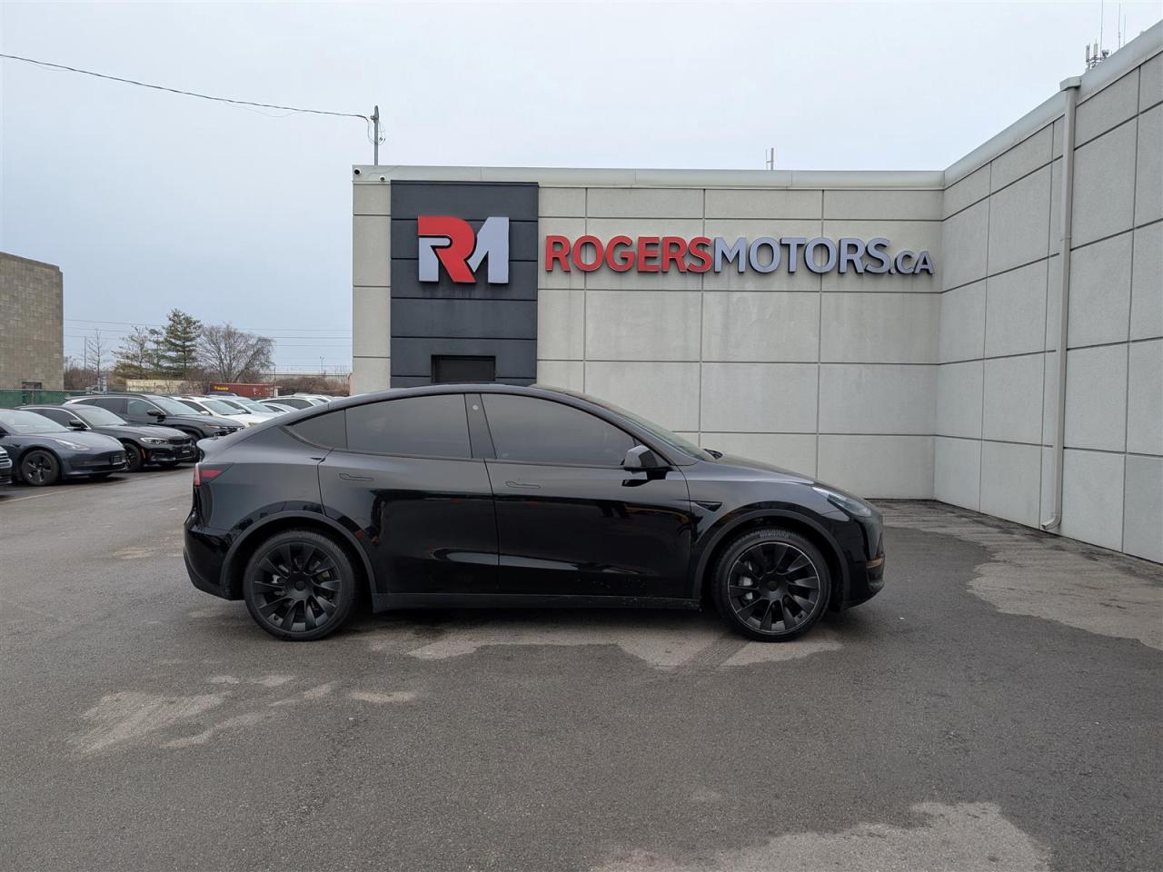 2021 Tesla Model Y STANDARD Photo