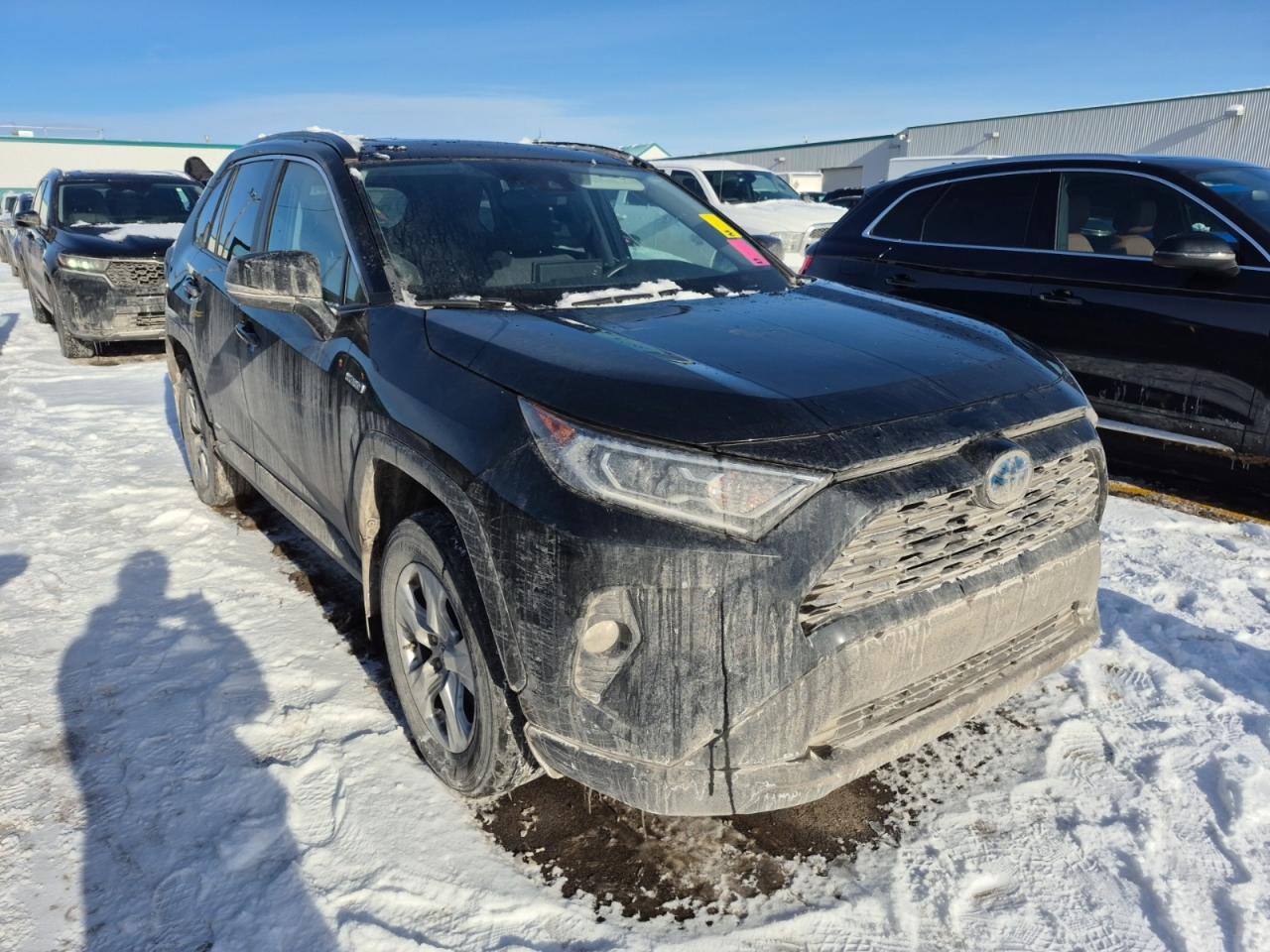 2019 Toyota RAV4 XLE | HYBRID | NO ACCIDENTS | SUNROOF Photo3