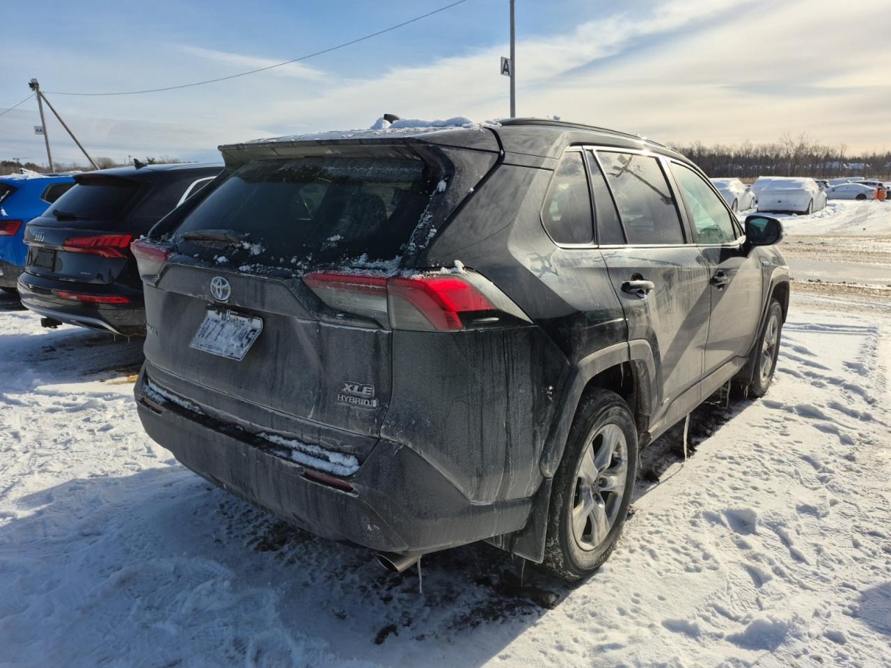 2019 Toyota RAV4 XLE | HYBRID | NO ACCIDENTS | SUNROOF Photo