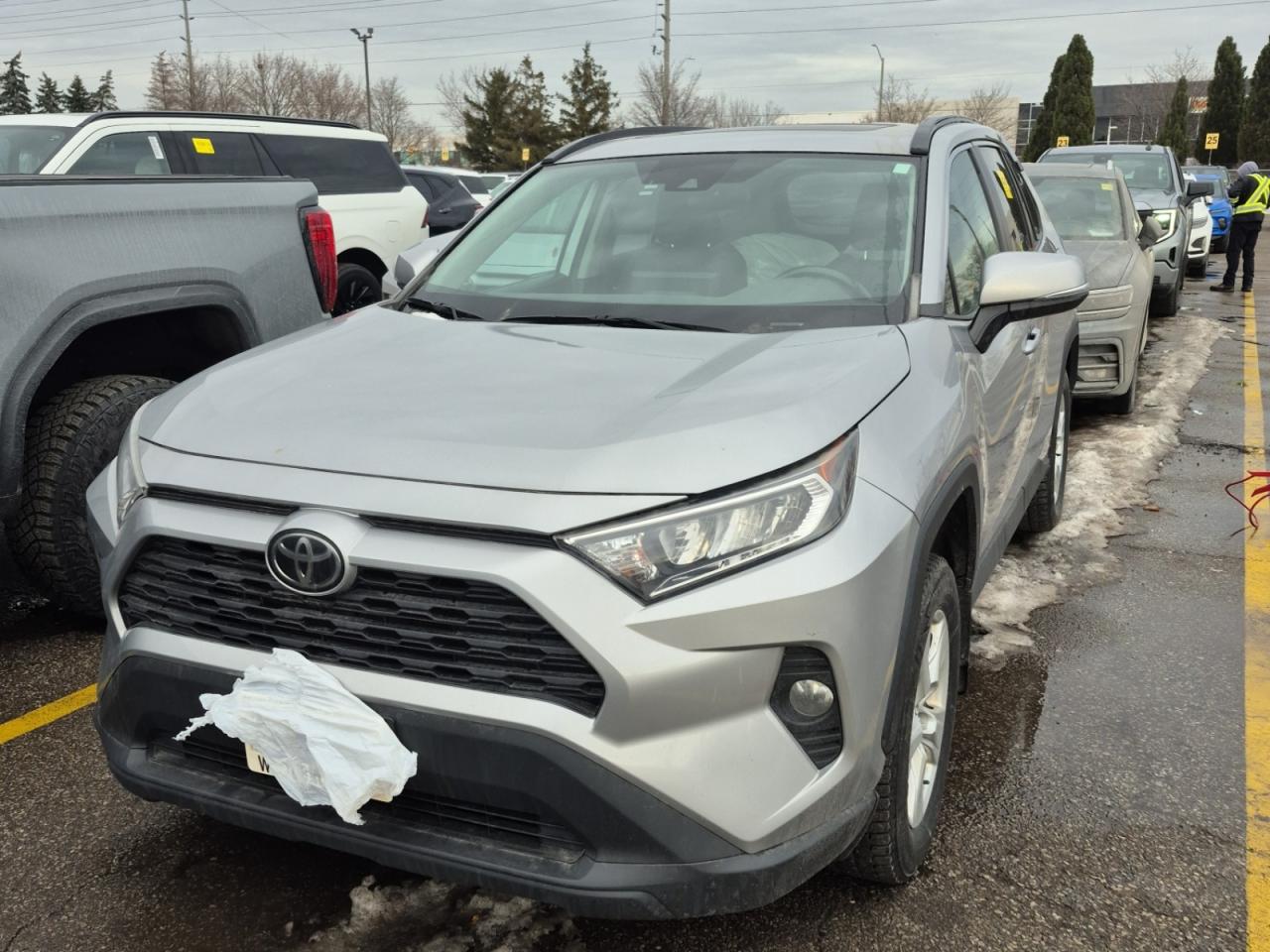 2019 Toyota RAV4 XLE | AWD | NO ACCIDENTS | TOYOTA SERVICED Photo
