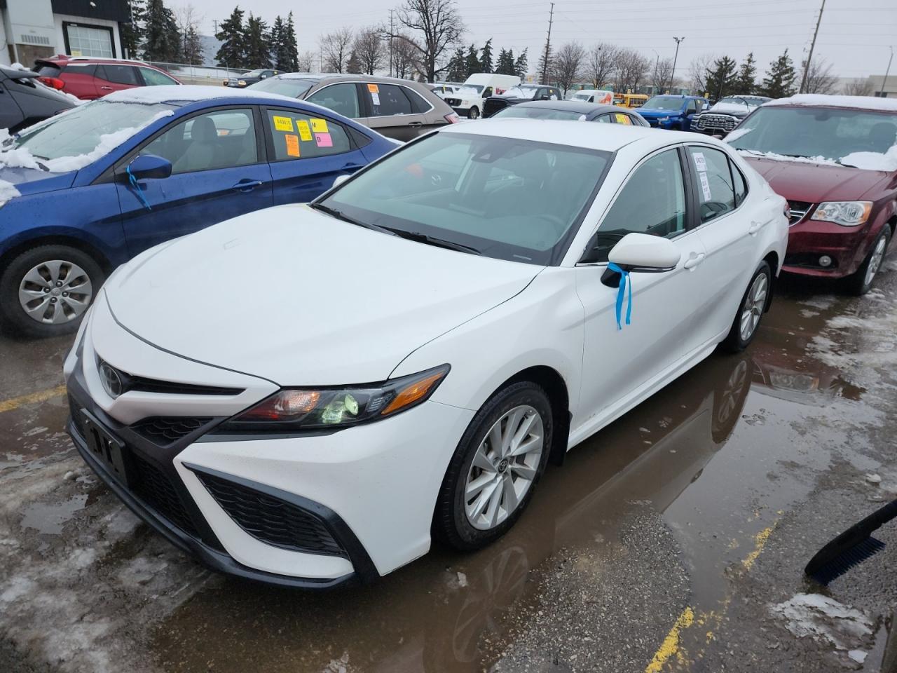 2024 Toyota Camry SE AWD | NO ACCIDENTS | LEATHER | ALLOYS Photo2