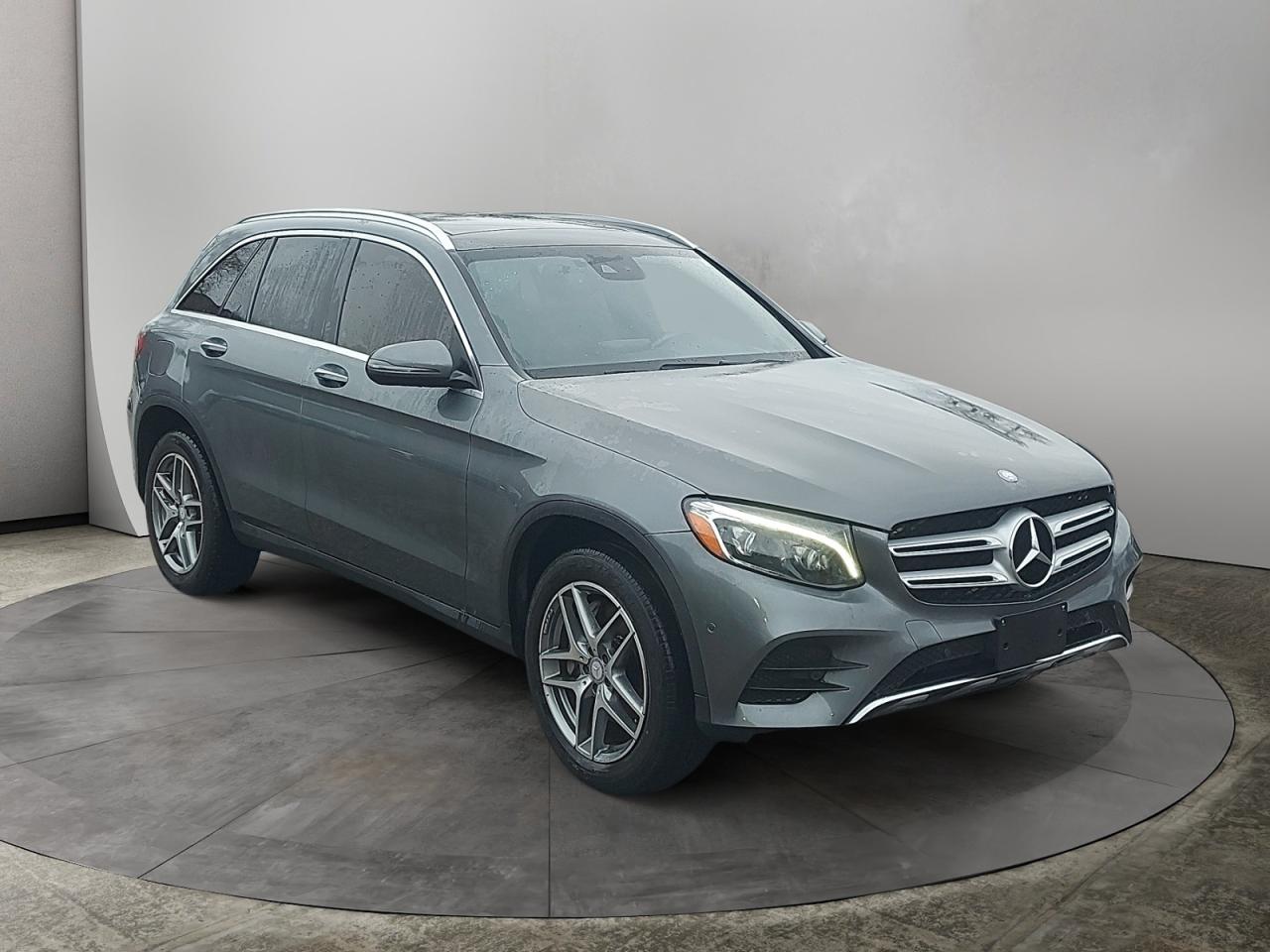 2017 Mercedes-Benz GLC-Class GLC 300 Photo