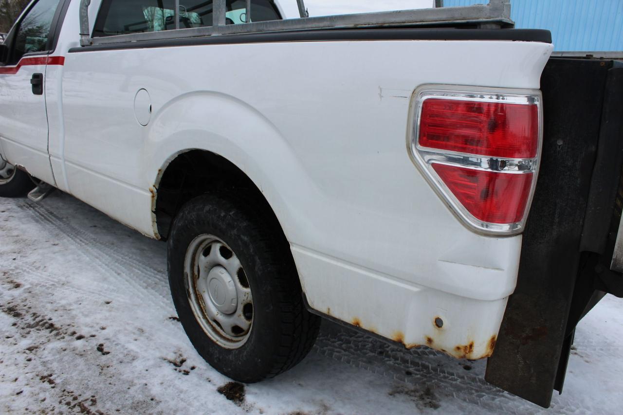 2011 Ford F-150 XL Photo
