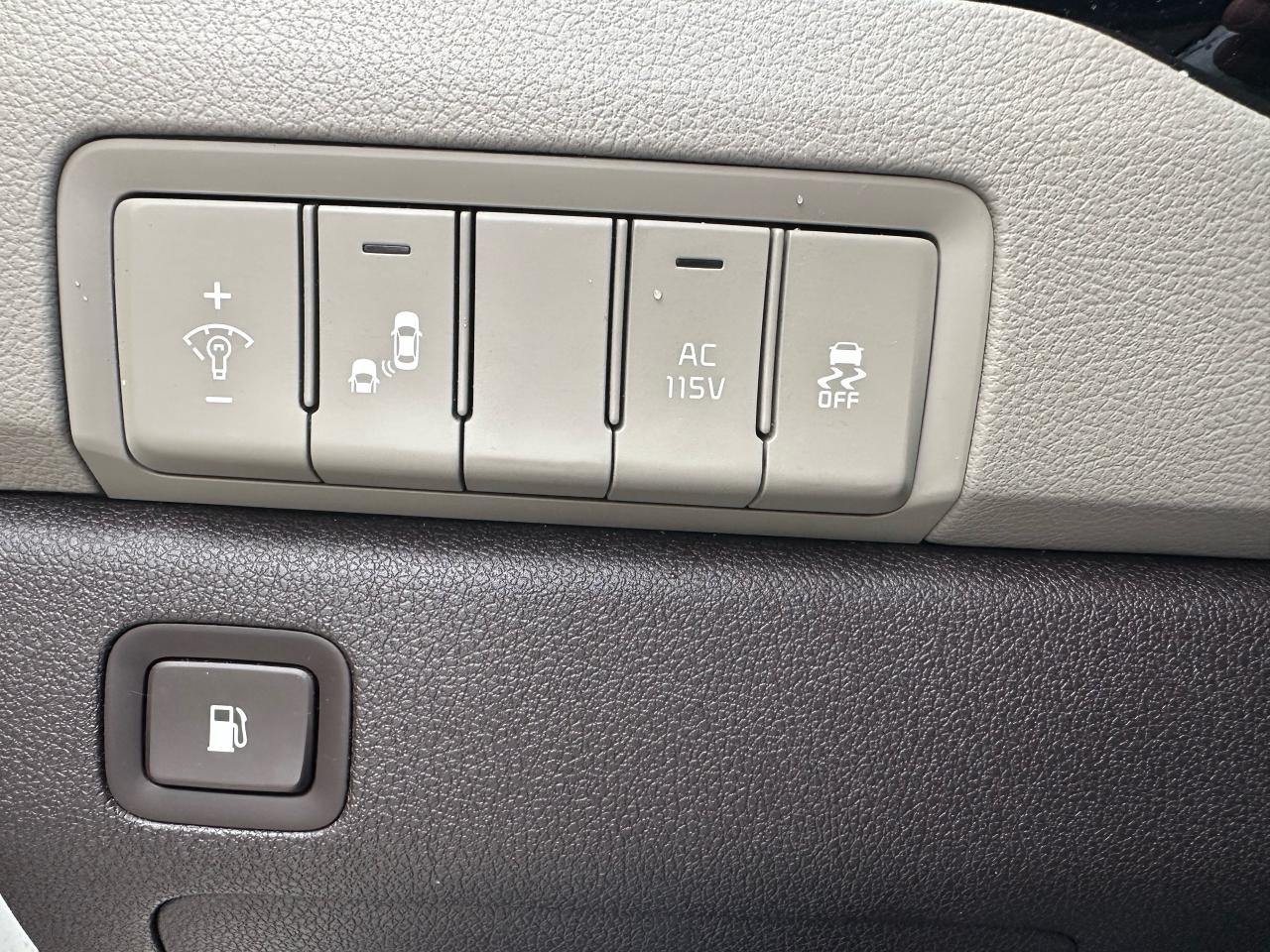 2015 Kia Sedona SXL Photo