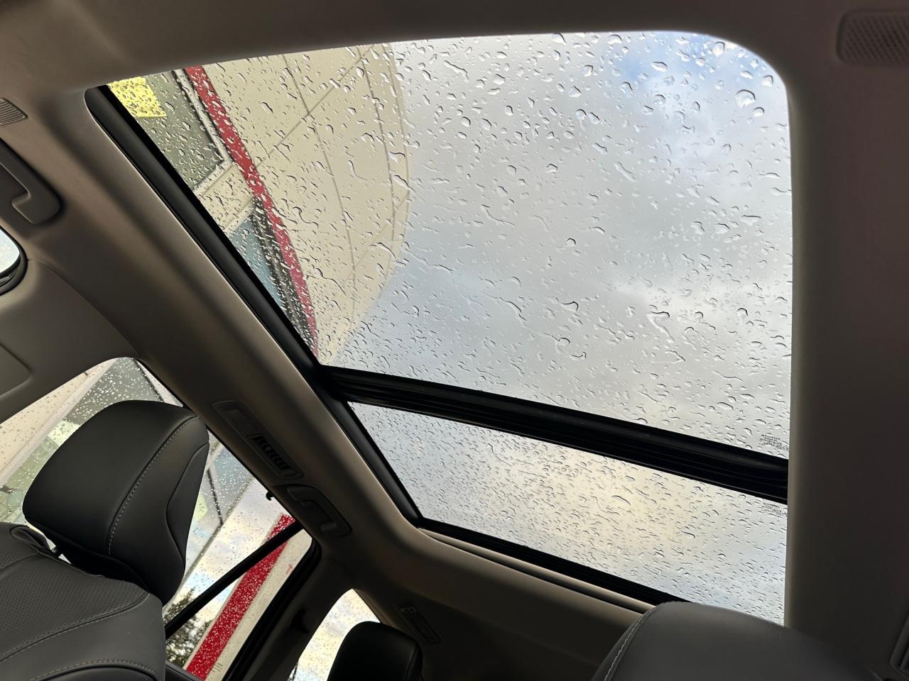 2024 Toyota Grand Highlander Hybrid Limited 4dr All-Wheel Drive Photo