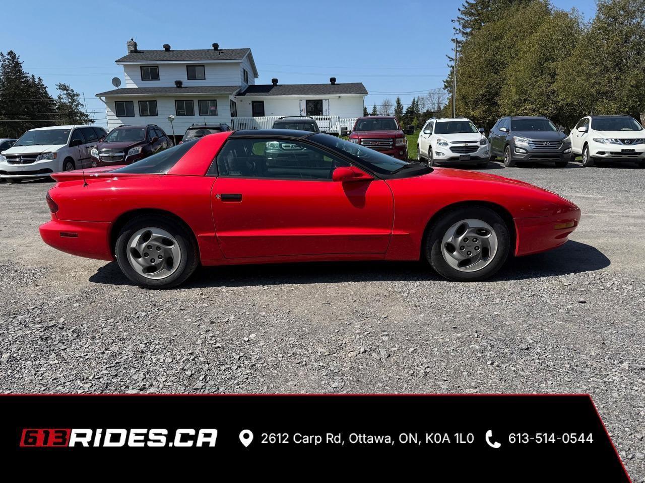 1994 Pontiac Firebird  Photo