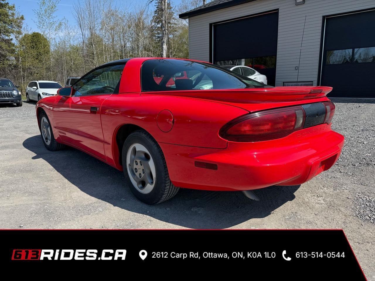 1994 Pontiac Firebird  Photo