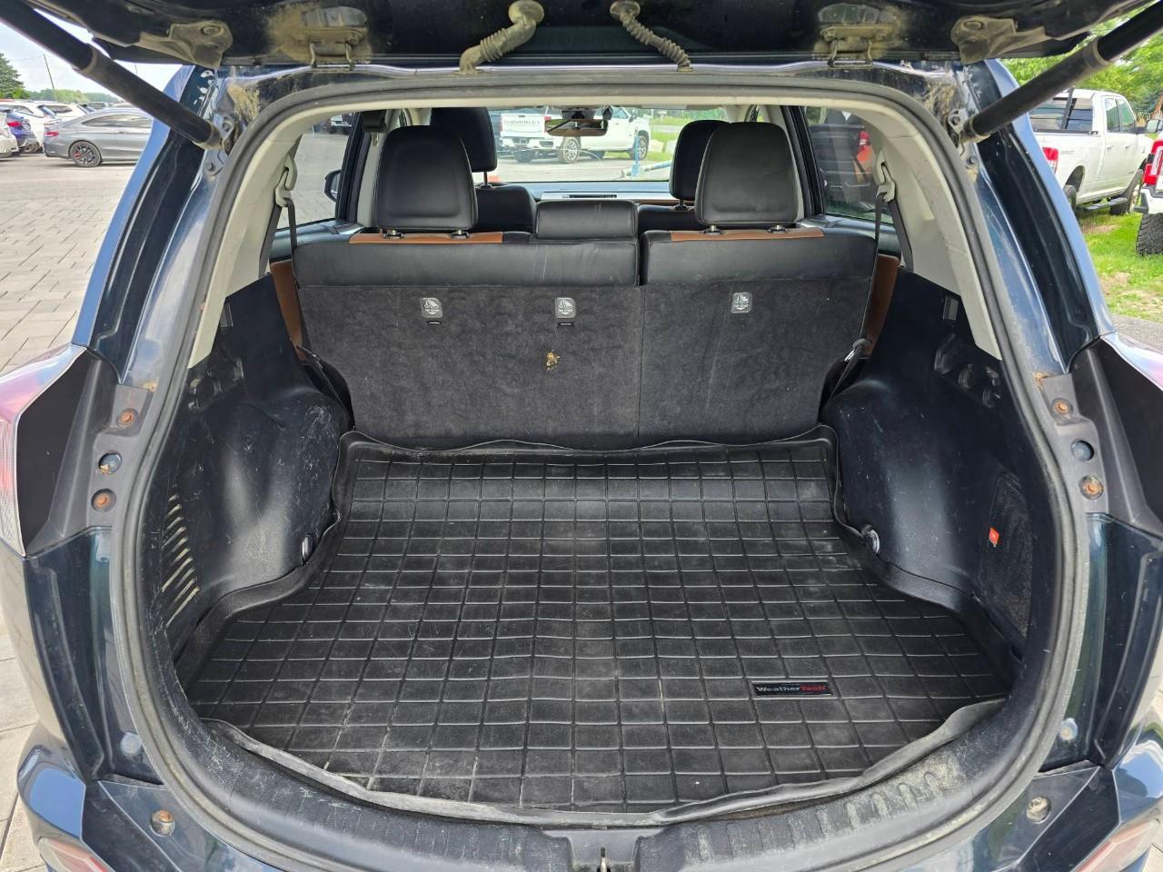 2017 Toyota RAV4 Hybrid Limited 4dr All-Wheel Drive Photo