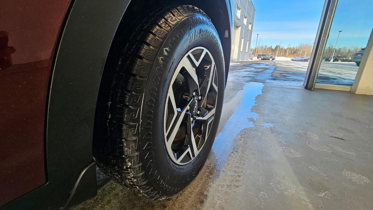 2023 Kia Sportage LX 4dr All-wheel Drive Photo