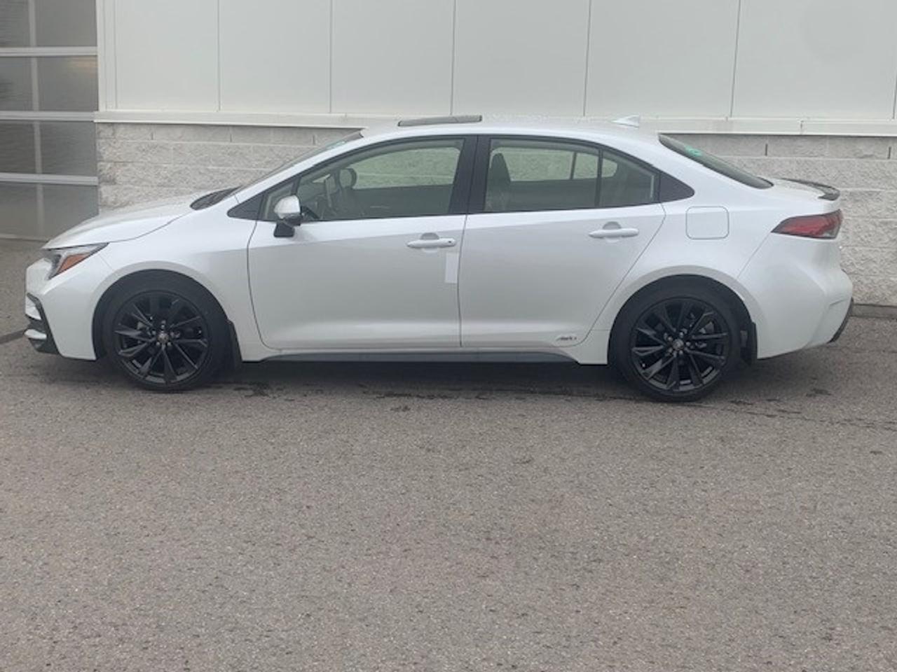 2025 Toyota Corolla Hybrid XSE 4dr All-Wheel Drive Sedan Photo