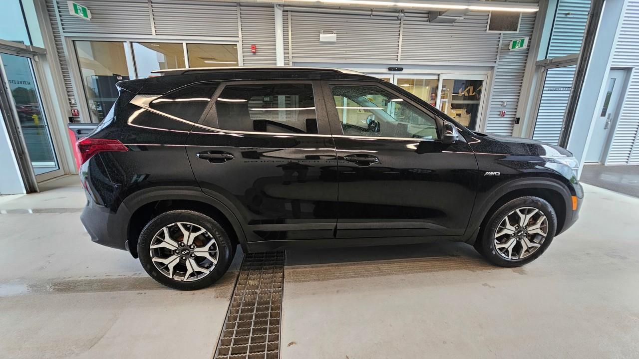 2021 Kia Seltos EX Premium 4dr All-Wheel Drive Photo