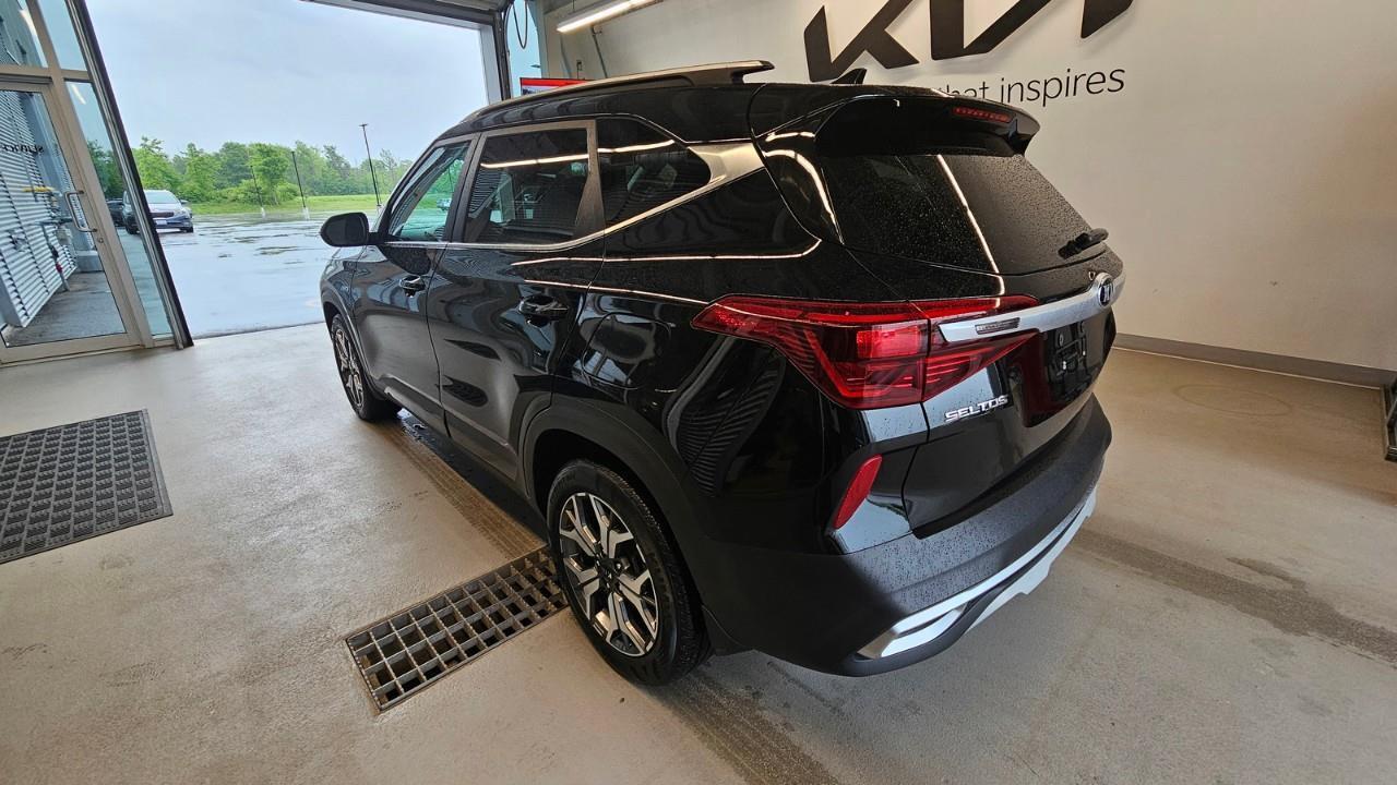 2021 Kia Seltos EX Premium 4dr All-Wheel Drive Photo