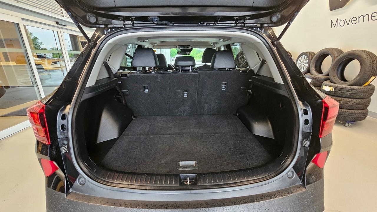 2021 Kia Seltos EX Premium 4dr All-Wheel Drive Photo