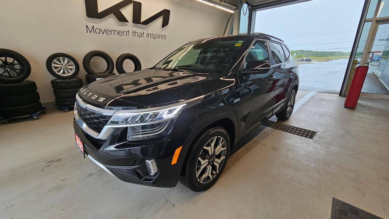 2021 Kia Seltos EX Premium 4dr All-Wheel Drive Photo
