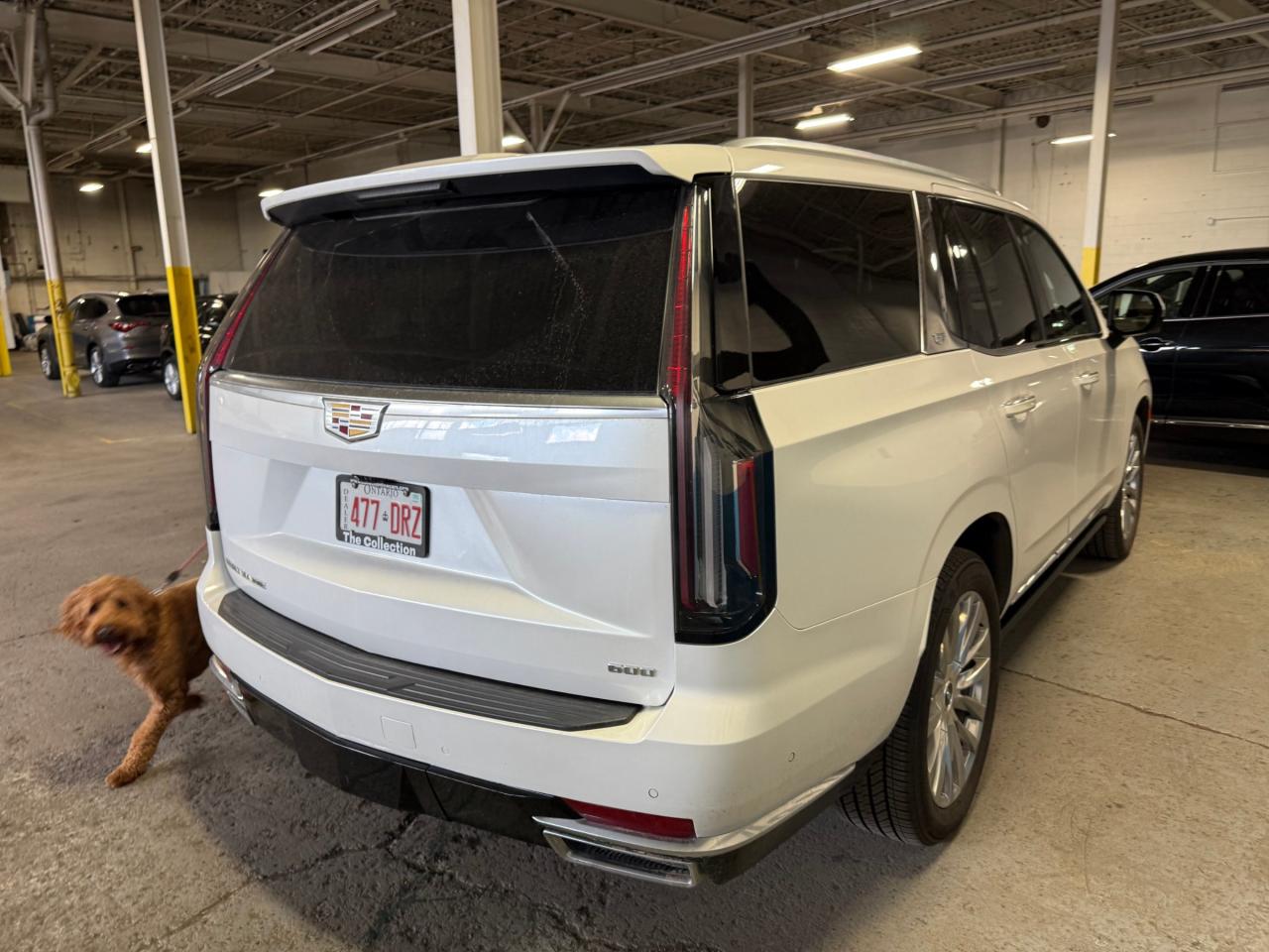 2021 Cadillac Escalade Premium Luxury 4x4 Photo