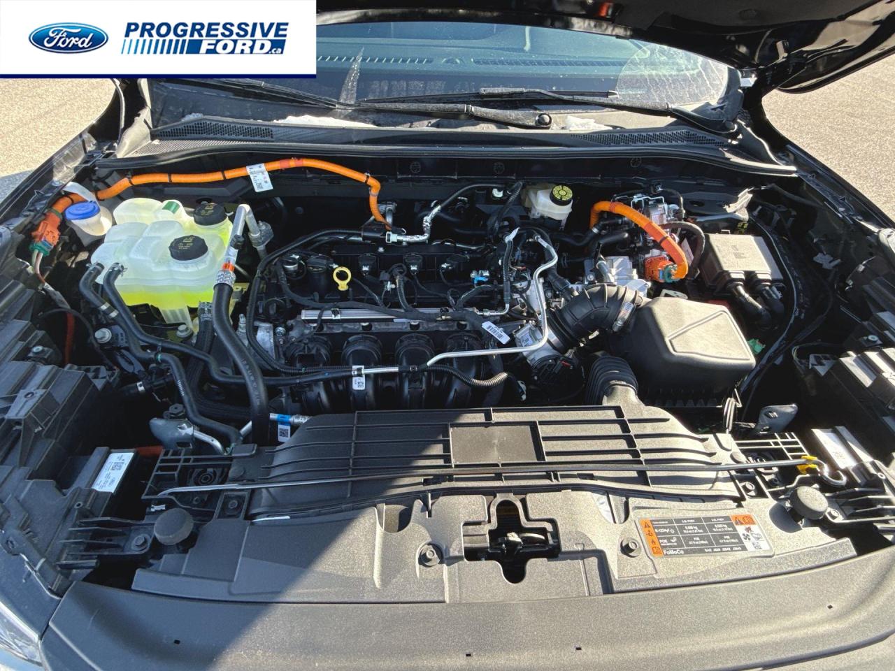 2025 Ford Escape ST-Line 4dr All-Wheel Drive Photo