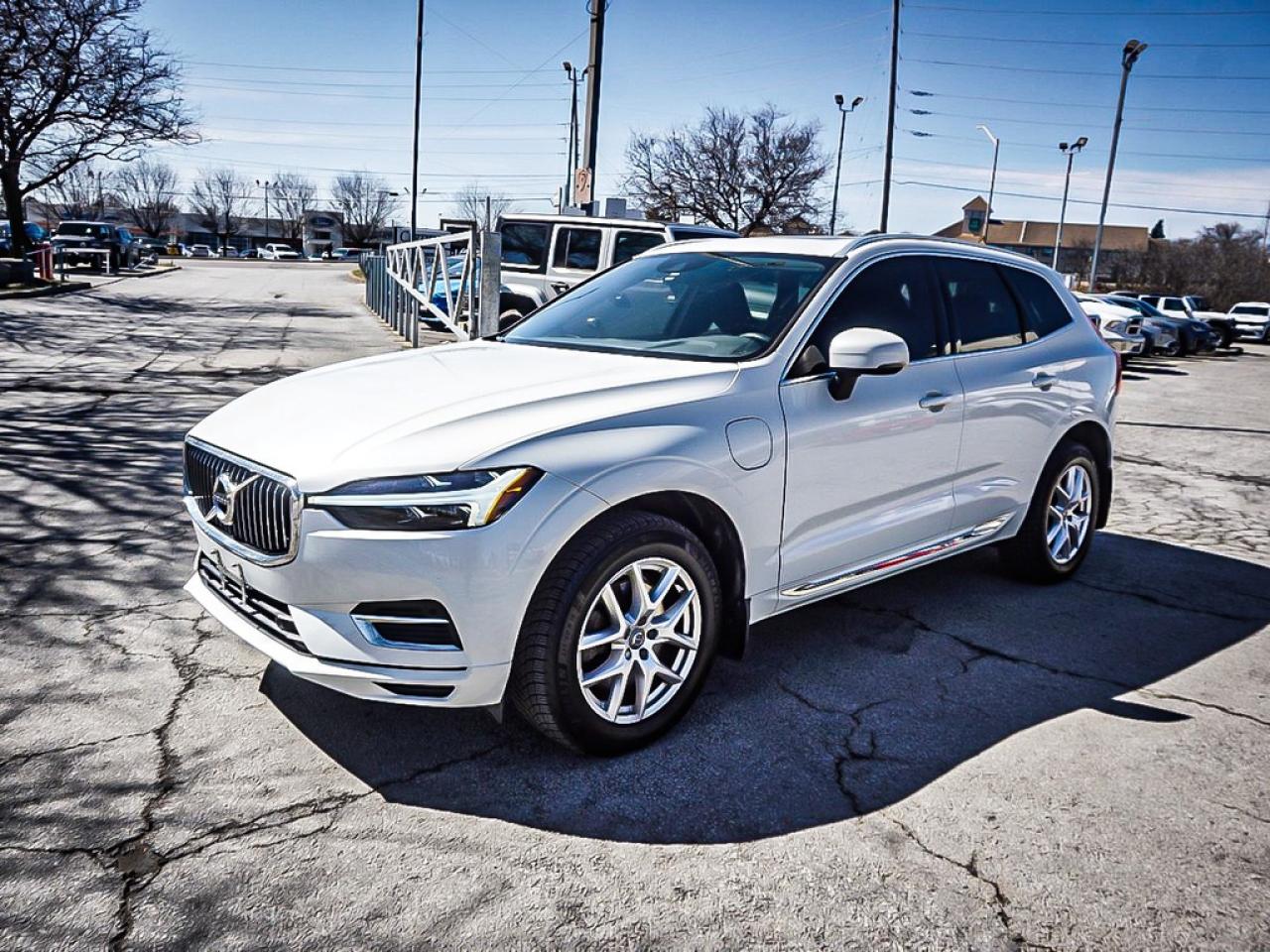 2021 Volvo XC60  Photo