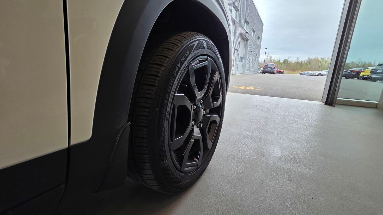 2025 Kia Seltos X-Line 4dr All-Wheel Drive Photo