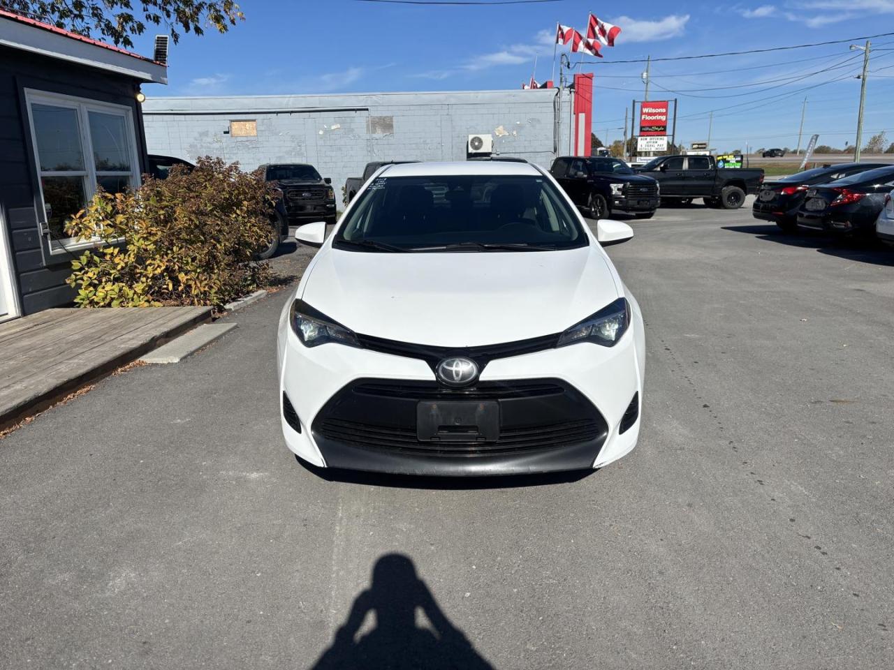 2018 Toyota Corolla  Photo