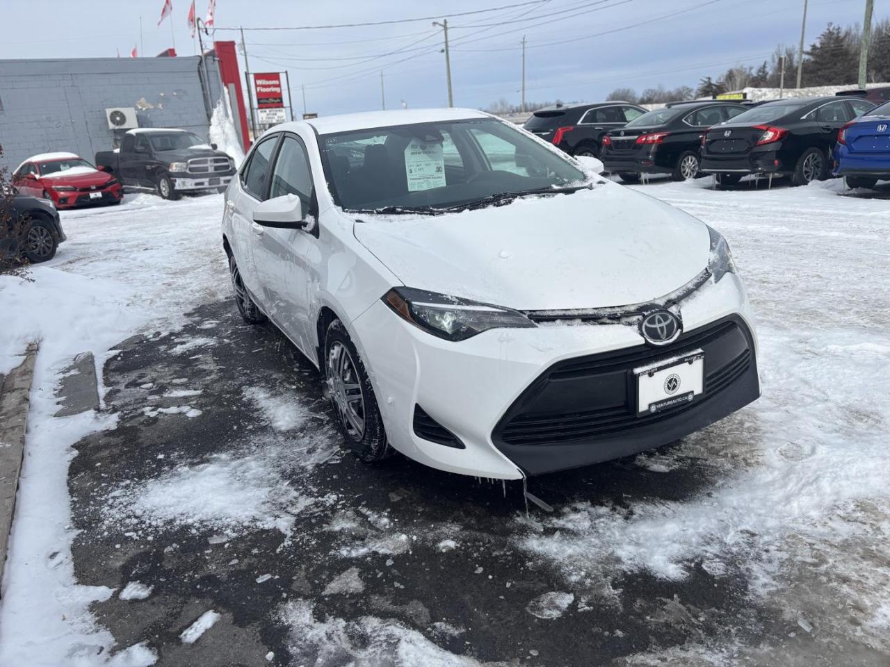 2018 Toyota Corolla  Photo